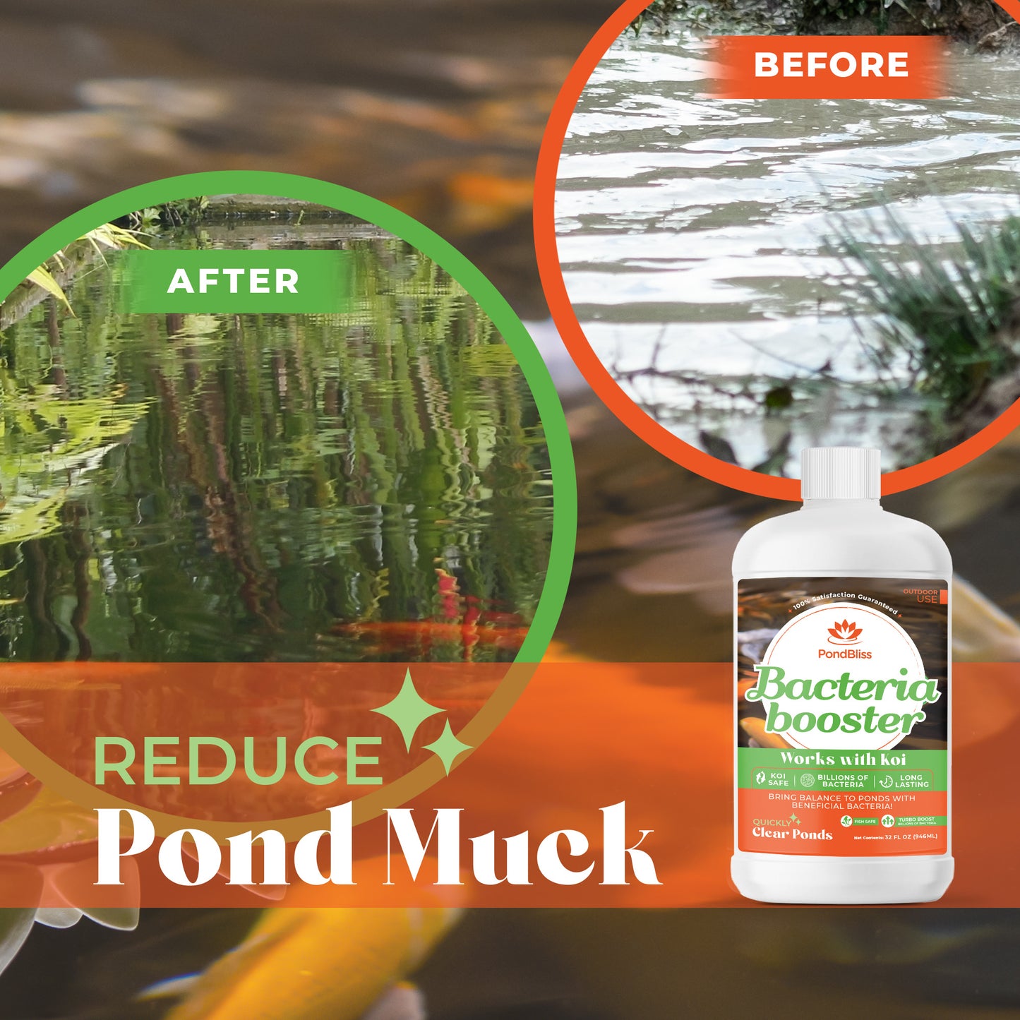 PondBliss Bacteria Booster 32oz